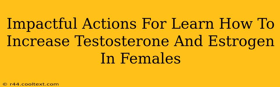 Impactful Actions For Learn How To Increase Testosterone And Estrogen In Females