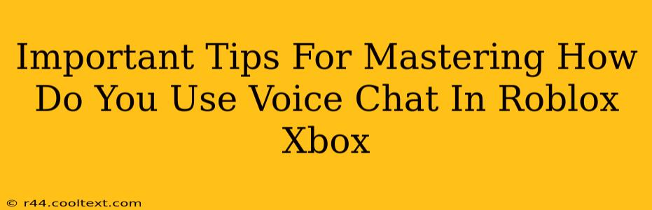 Important Tips For Mastering How Do You Use Voice Chat In Roblox Xbox