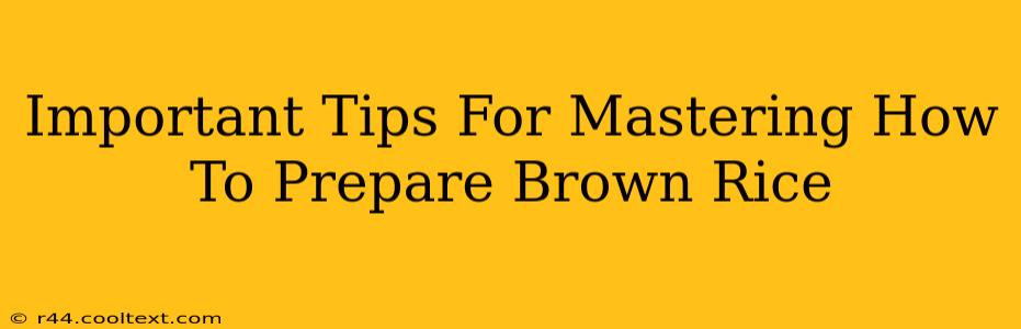 Important Tips For Mastering How To Prepare Brown Rice