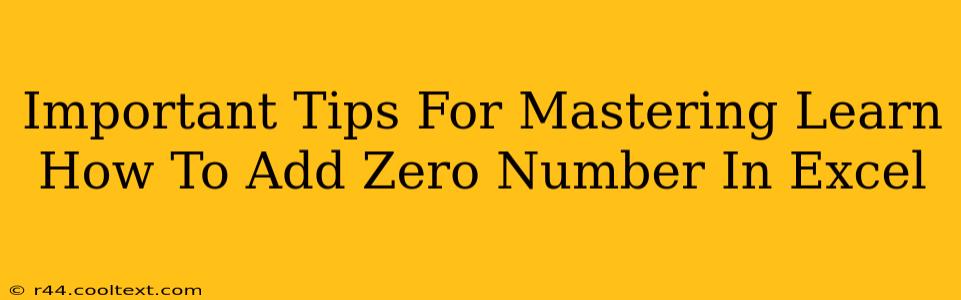 Important Tips For Mastering Learn How To Add Zero Number In Excel