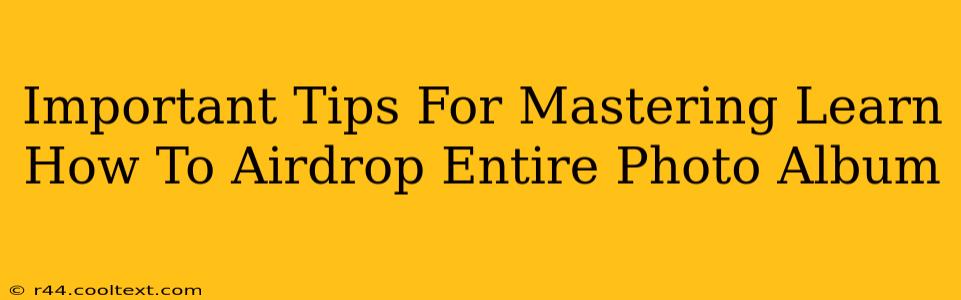 Important Tips For Mastering Learn How To Airdrop Entire Photo Album