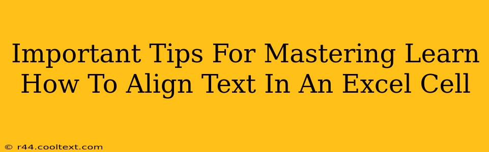 Important Tips For Mastering Learn How To Align Text In An Excel Cell