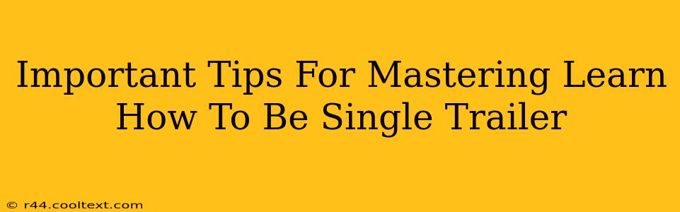 Important Tips For Mastering Learn How To Be Single Trailer