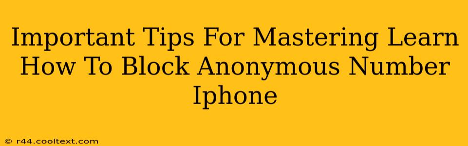 Important Tips For Mastering Learn How To Block Anonymous Number Iphone