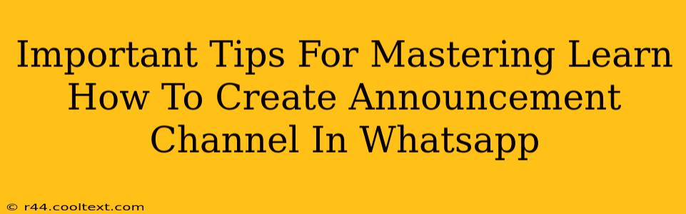 Important Tips For Mastering Learn How To Create Announcement Channel In Whatsapp