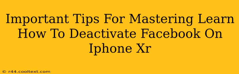 Important Tips For Mastering Learn How To Deactivate Facebook On Iphone Xr