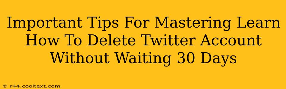 Important Tips For Mastering Learn How To Delete Twitter Account Without Waiting 30 Days