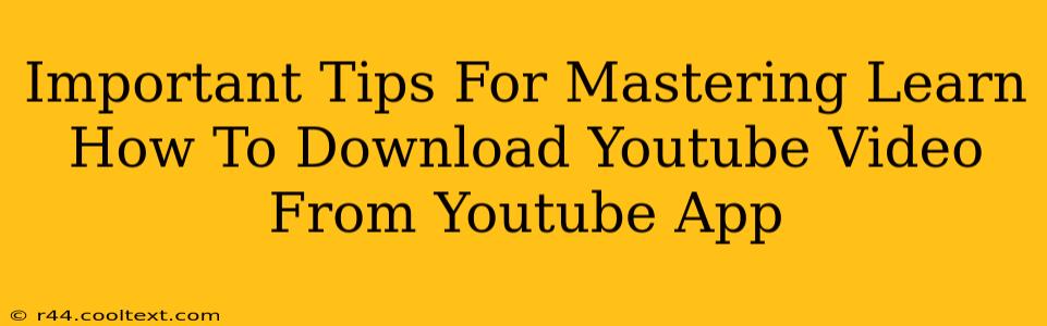 Important Tips For Mastering Learn How To Download Youtube Video From Youtube App