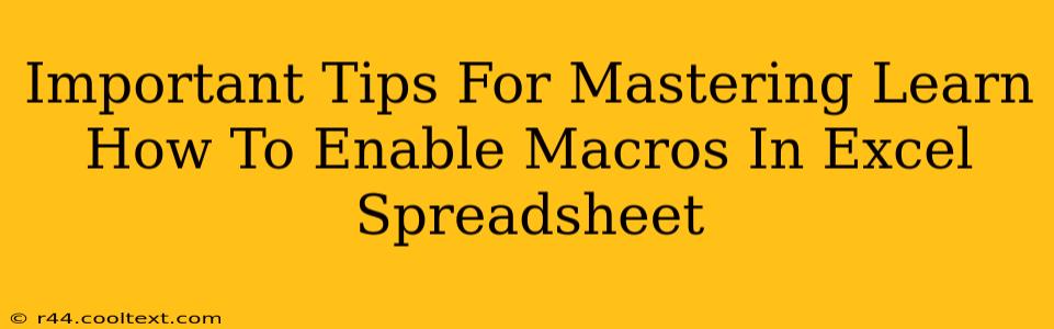 Important Tips For Mastering Learn How To Enable Macros In Excel Spreadsheet