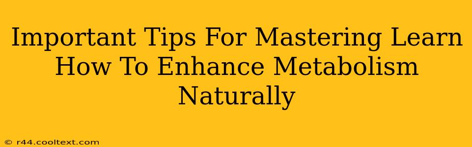 Important Tips For Mastering Learn How To Enhance Metabolism Naturally