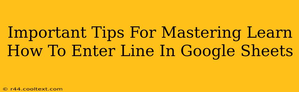 Important Tips For Mastering Learn How To Enter Line In Google Sheets