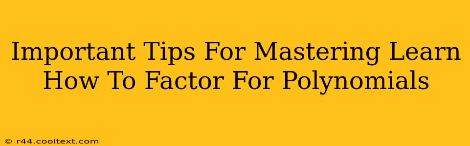 Important Tips For Mastering Learn How To Factor For Polynomials