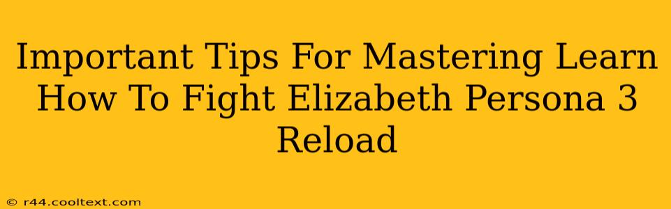 Important Tips For Mastering Learn How To Fight Elizabeth Persona 3 Reload