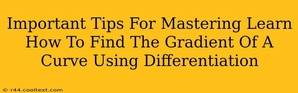 Important Tips For Mastering Learn How To Find The Gradient Of A Curve Using Differentiation