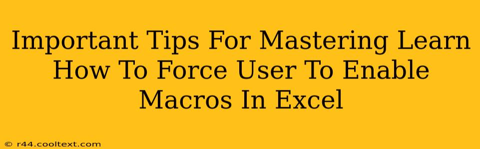 Important Tips For Mastering Learn How To Force User To Enable Macros In Excel