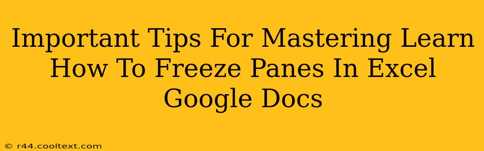 Important Tips For Mastering Learn How To Freeze Panes In Excel Google Docs