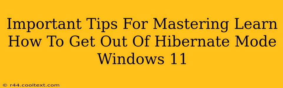 Important Tips For Mastering Learn How To Get Out Of Hibernate Mode Windows 11