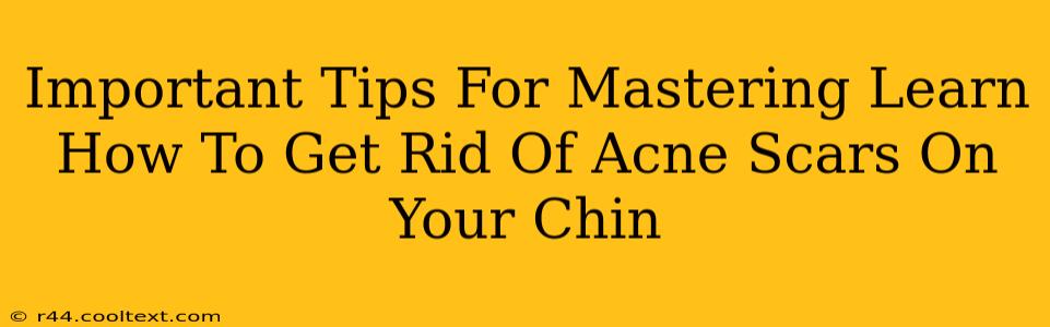 Important Tips For Mastering Learn How To Get Rid Of Acne Scars On Your Chin