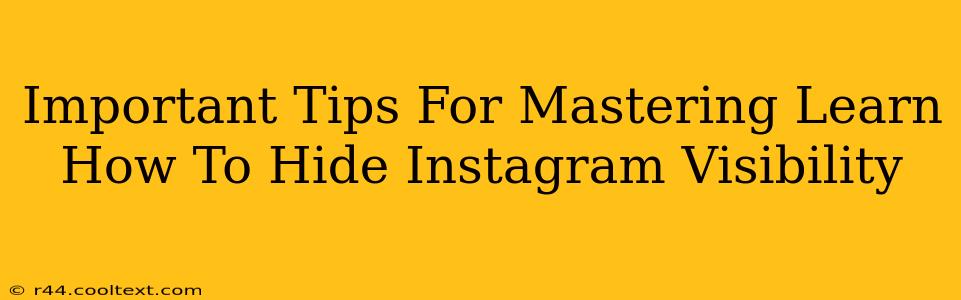 Important Tips For Mastering Learn How To Hide Instagram Visibility