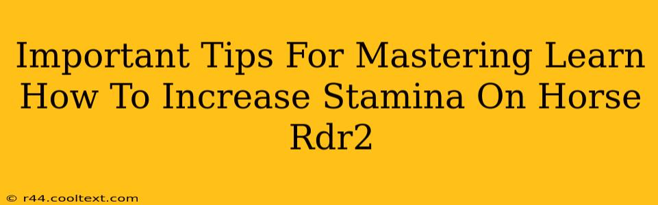 Important Tips For Mastering Learn How To Increase Stamina On Horse Rdr2