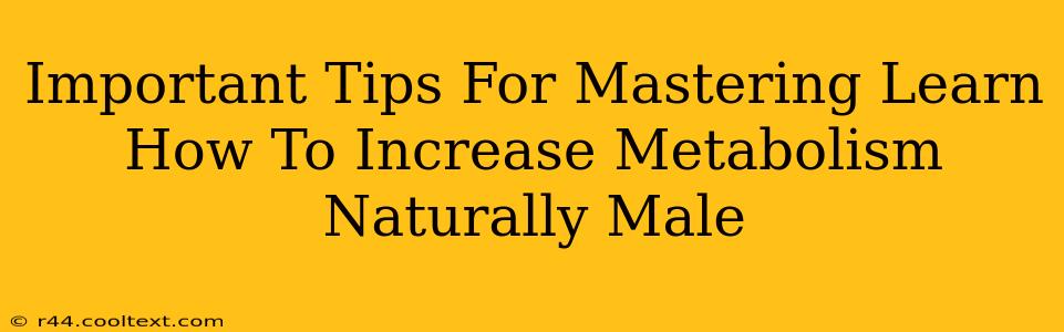 Important Tips For Mastering Learn How To Increase Metabolism Naturally Male