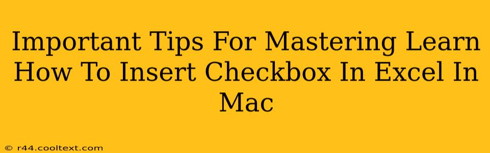 Important Tips For Mastering Learn How To Insert Checkbox In Excel In Mac