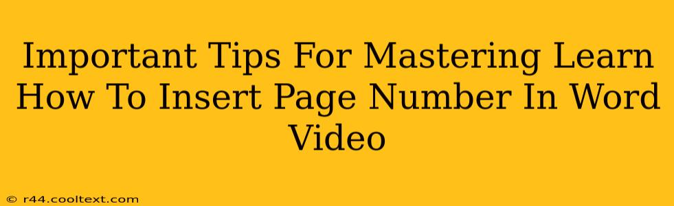 Important Tips For Mastering Learn How To Insert Page Number In Word Video