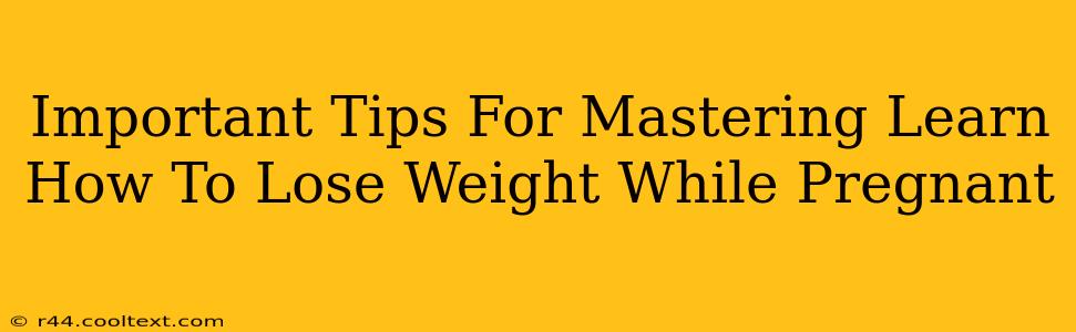 Important Tips For Mastering Learn How To Lose Weight While Pregnant