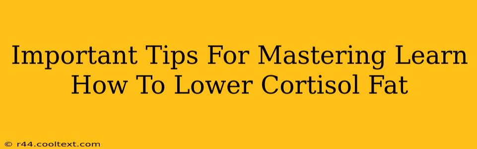 Important Tips For Mastering Learn How To Lower Cortisol Fat