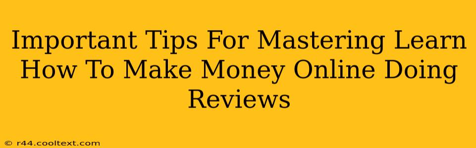 Important Tips For Mastering Learn How To Make Money Online Doing Reviews