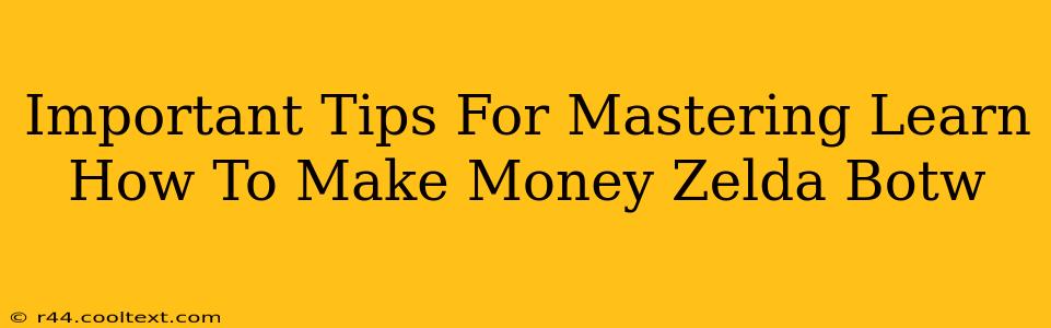 Important Tips For Mastering Learn How To Make Money Zelda Botw