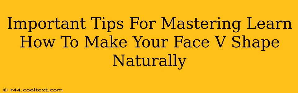 Important Tips For Mastering Learn How To Make Your Face V Shape Naturally