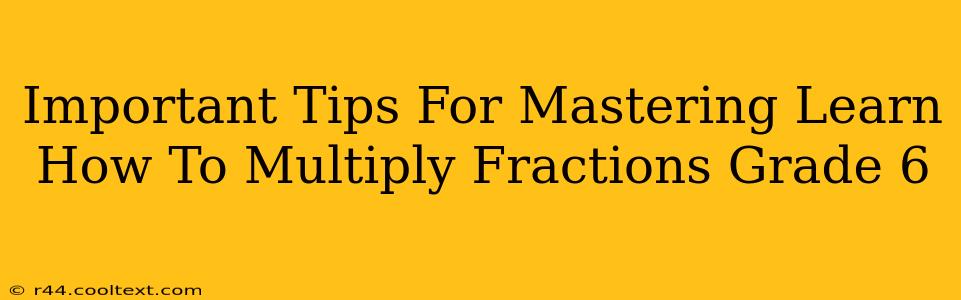 Important Tips For Mastering Learn How To Multiply Fractions Grade 6