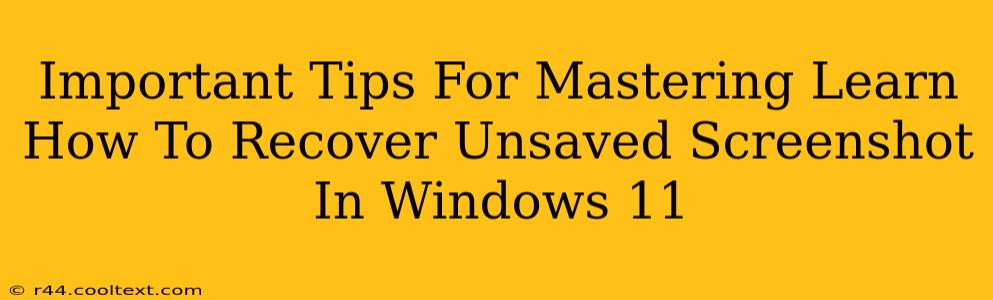 Important Tips For Mastering Learn How To Recover Unsaved Screenshot In Windows 11