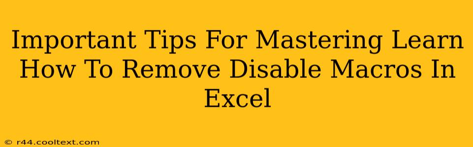 Important Tips For Mastering Learn How To Remove Disable Macros In Excel