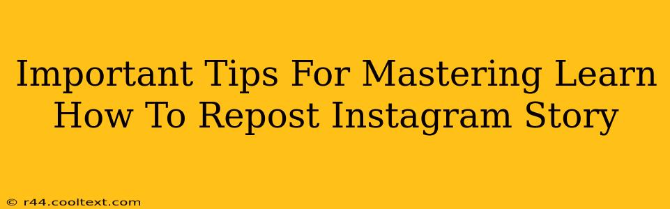 Important Tips For Mastering Learn How To Repost Instagram Story