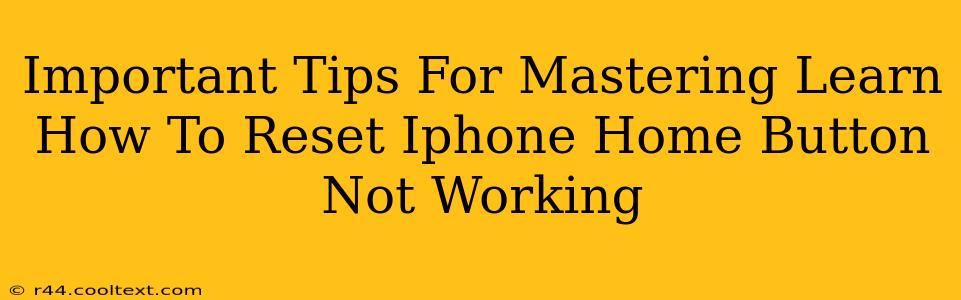 Important Tips For Mastering Learn How To Reset Iphone Home Button Not Working