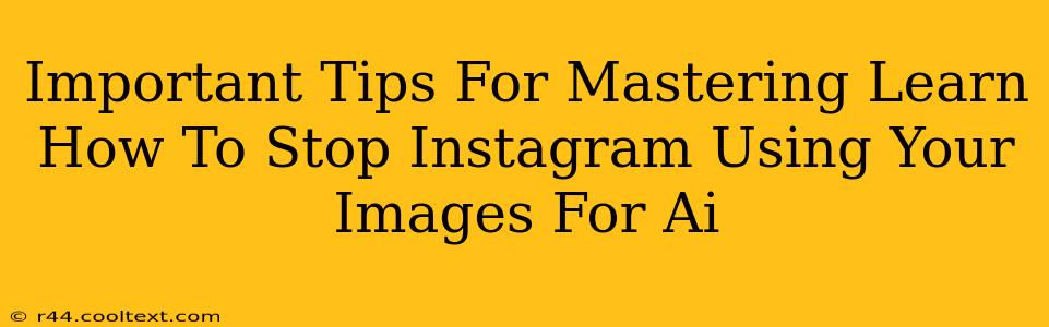 Important Tips For Mastering Learn How To Stop Instagram Using Your Images For Ai