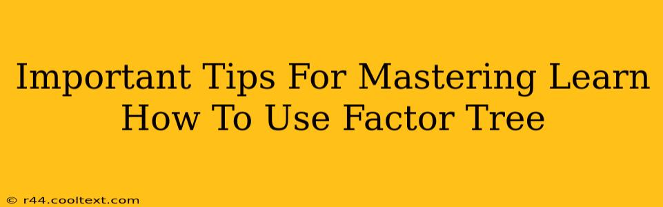 Important Tips For Mastering Learn How To Use Factor Tree