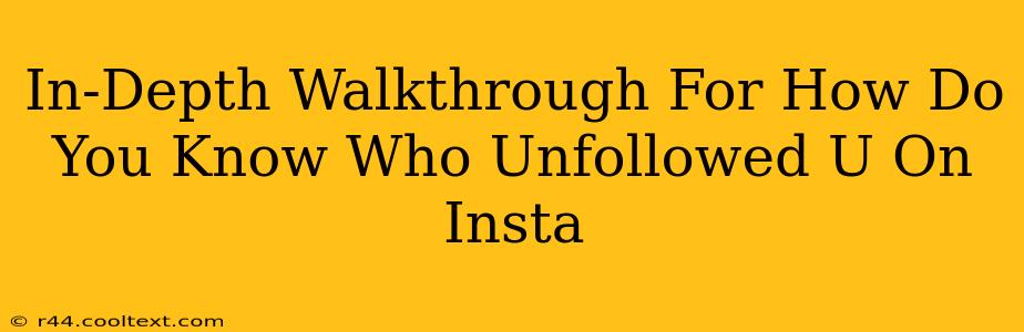 In-Depth Walkthrough For How Do You Know Who Unfollowed U On Insta