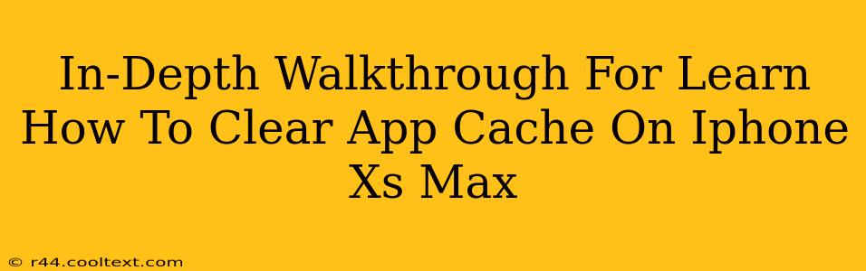 In-Depth Walkthrough For Learn How To Clear App Cache On Iphone Xs Max