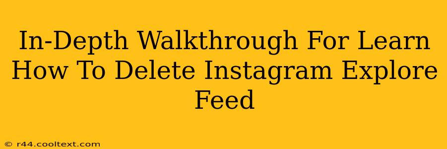 In-Depth Walkthrough For Learn How To Delete Instagram Explore Feed