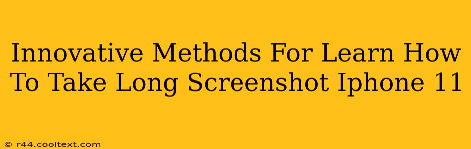 Innovative Methods For Learn How To Take Long Screenshot Iphone 11