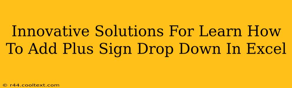 Innovative Solutions For Learn How To Add Plus Sign Drop Down In Excel