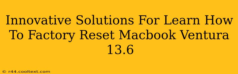 Innovative Solutions For Learn How To Factory Reset Macbook Ventura 13.6