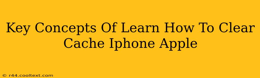 Key Concepts Of Learn How To Clear Cache Iphone Apple