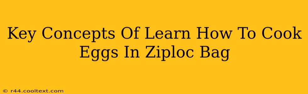 Key Concepts Of Learn How To Cook Eggs In Ziploc Bag