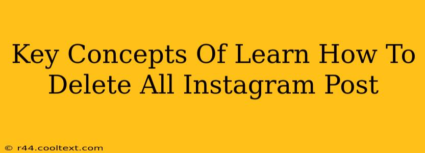 Key Concepts Of Learn How To Delete All Instagram Post