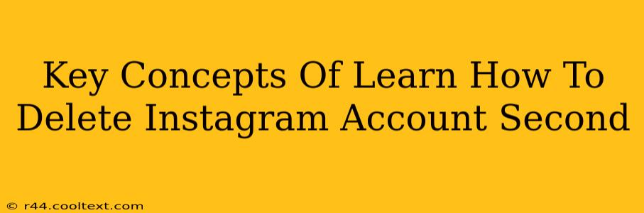 Key Concepts Of Learn How To Delete Instagram Account Second