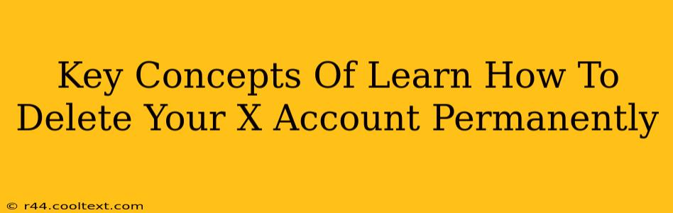 Key Concepts Of Learn How To Delete Your X Account Permanently